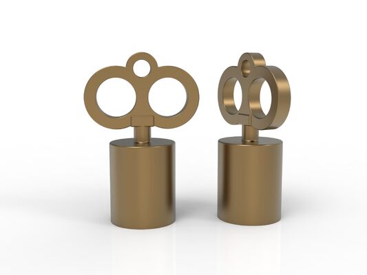 مصنع تصميم جديد فاخرة عالية الجودة المفتاح على شكل الزماك