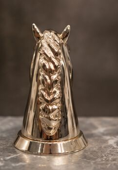 الاسم